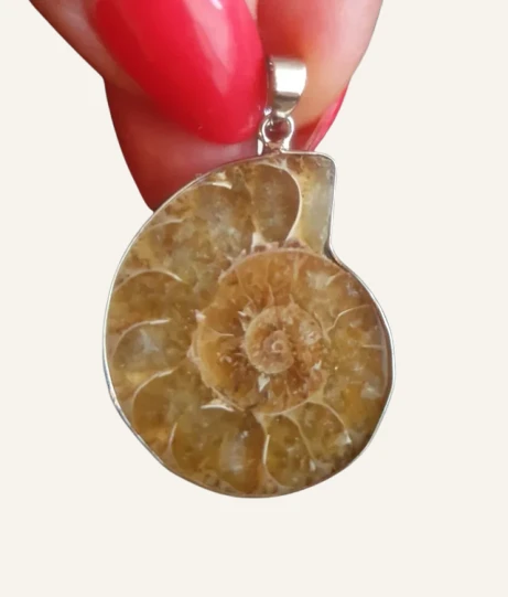 Authentic Ammonite Fossil Pendant - Image 2