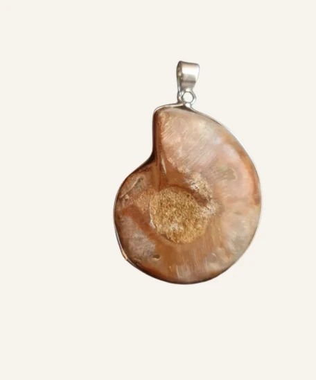 Authentic Ammonite Fossil Pendant - Image 4