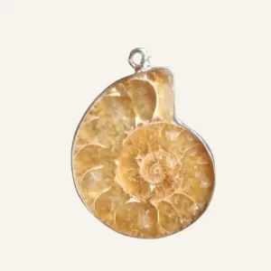 Authentic Ammonite Fossil Pendant